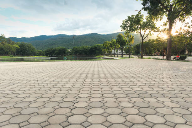 Best Residential Paver Driveway  in Pine Air, FL